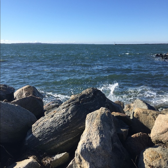 Meet your Posher, Molly - Picture 1 of 1